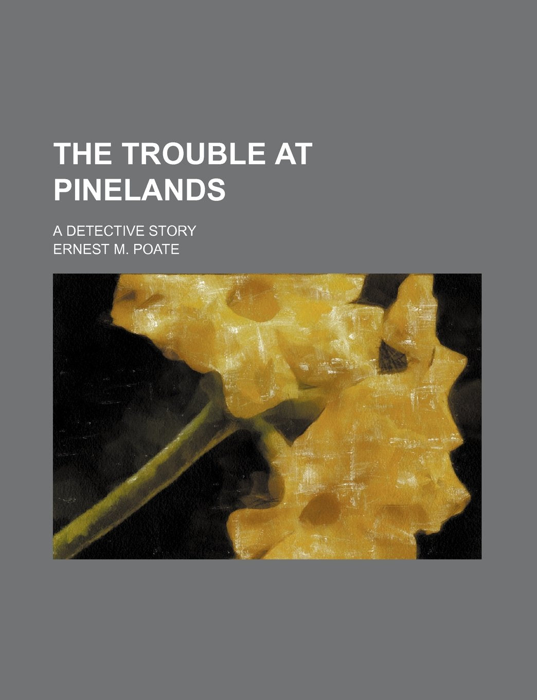 The Trouble at Pinelands; A Detective Story Books