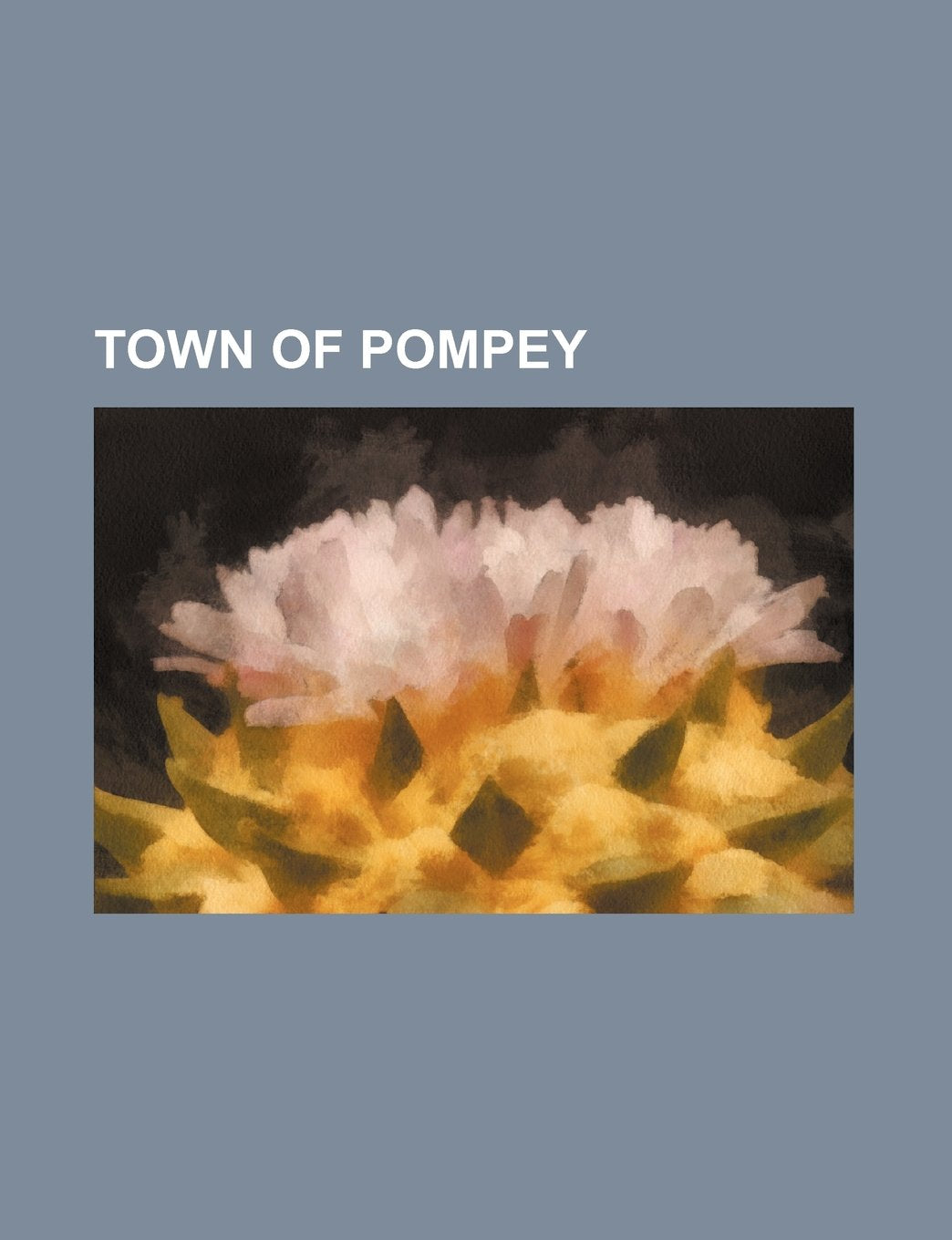 Town of Pompey Books