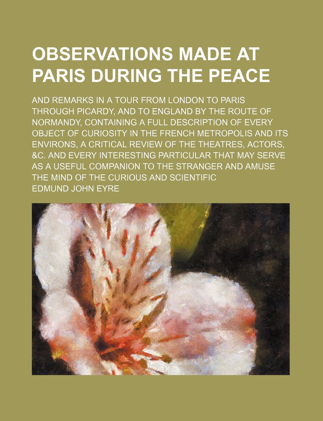 Observations Made at Paris During the Peace; And Remarks in a Tour from London to Paris Through Picardy, and to England by the Route of Normandy, ... French Metropolis and Its Environs, a Criti Books