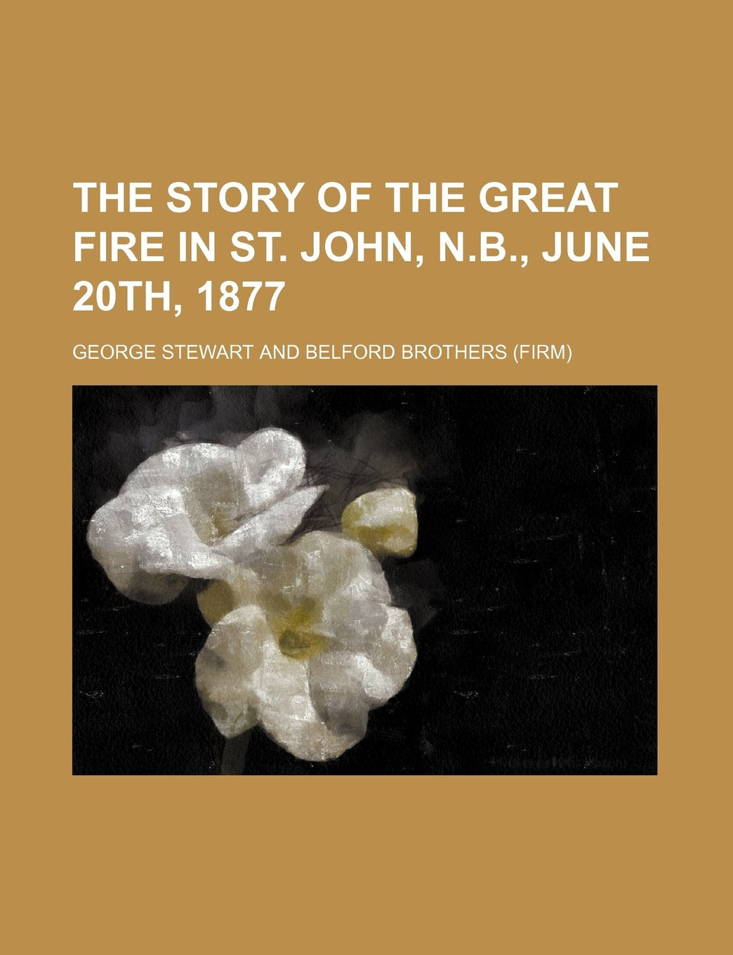 The Story of the Great Fire in St. John, N.B., June 20th, 1877 Books