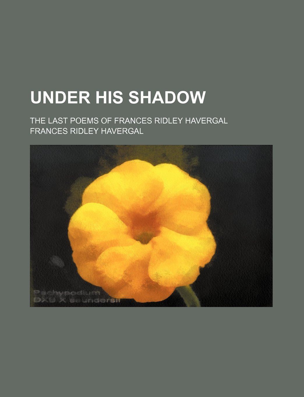Under His Shadow; The Last Poems of Frances Ridley Havergal Books