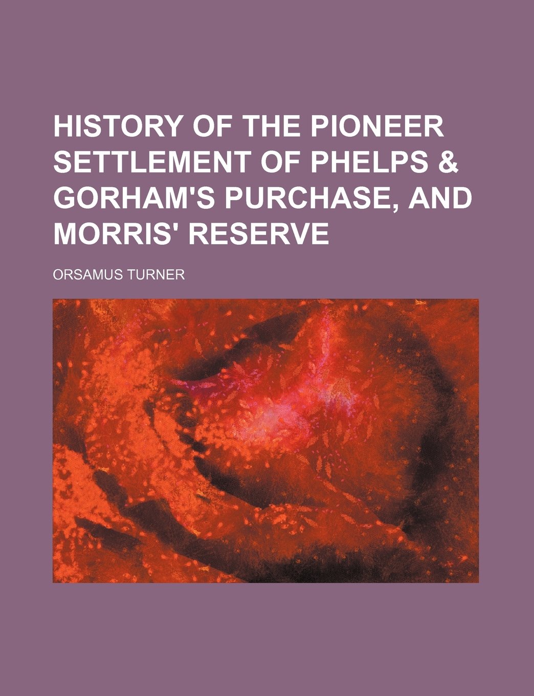 History of the Pioneer Settlement of Phelps & Gorham's Purchase, and Morris' Reserve Books