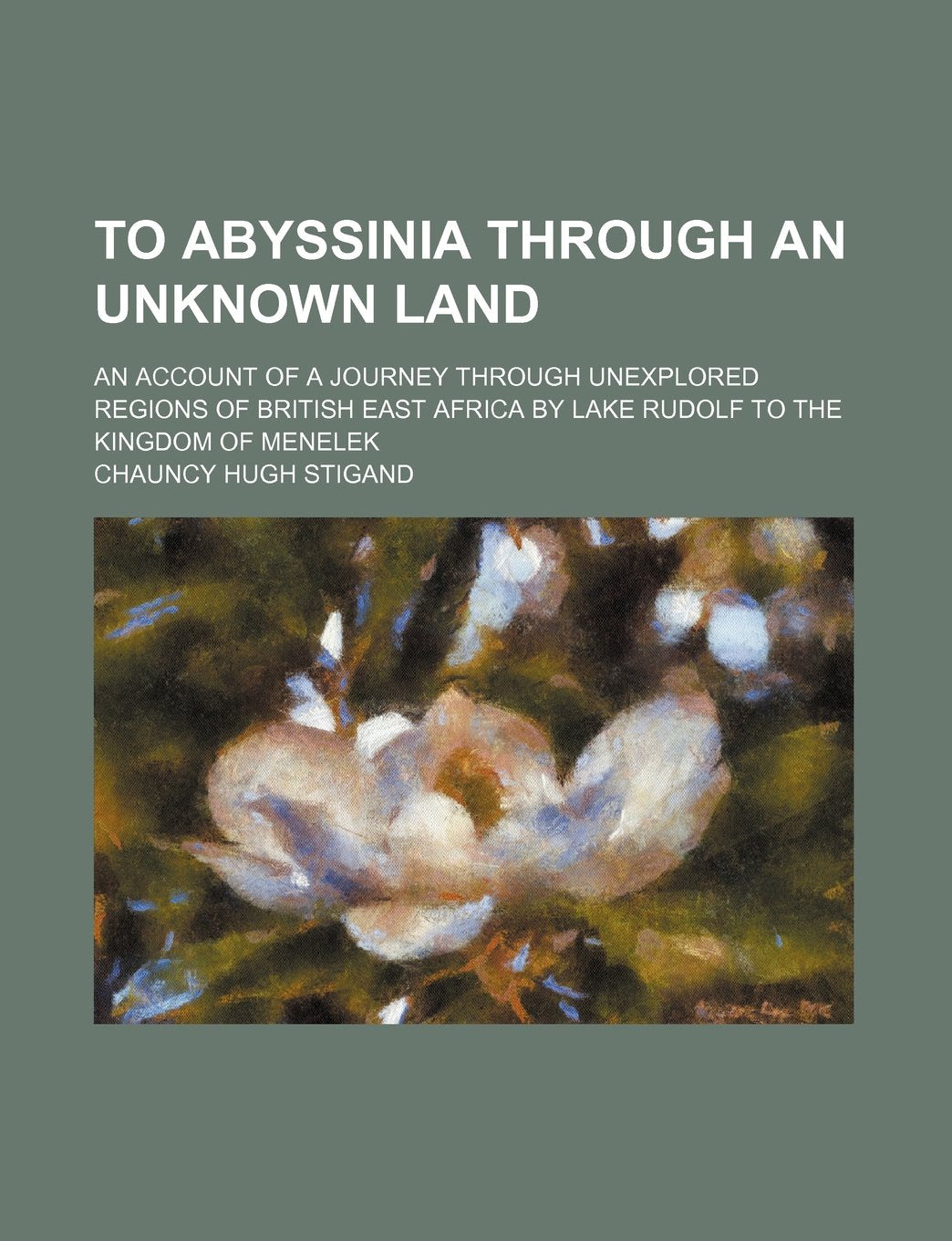 To Abyssinia Through an Unknown Land; An Account of a Journey Through Unexplored Regions of British East Africa by Lake Rudolf to the Kingdom of Menelek Books