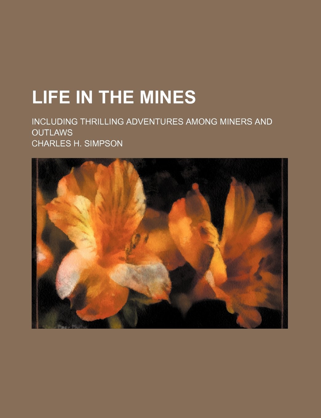 Life in the Mines; Including Thrilling Adventures Among Miners and Outlaws Contemporary literature