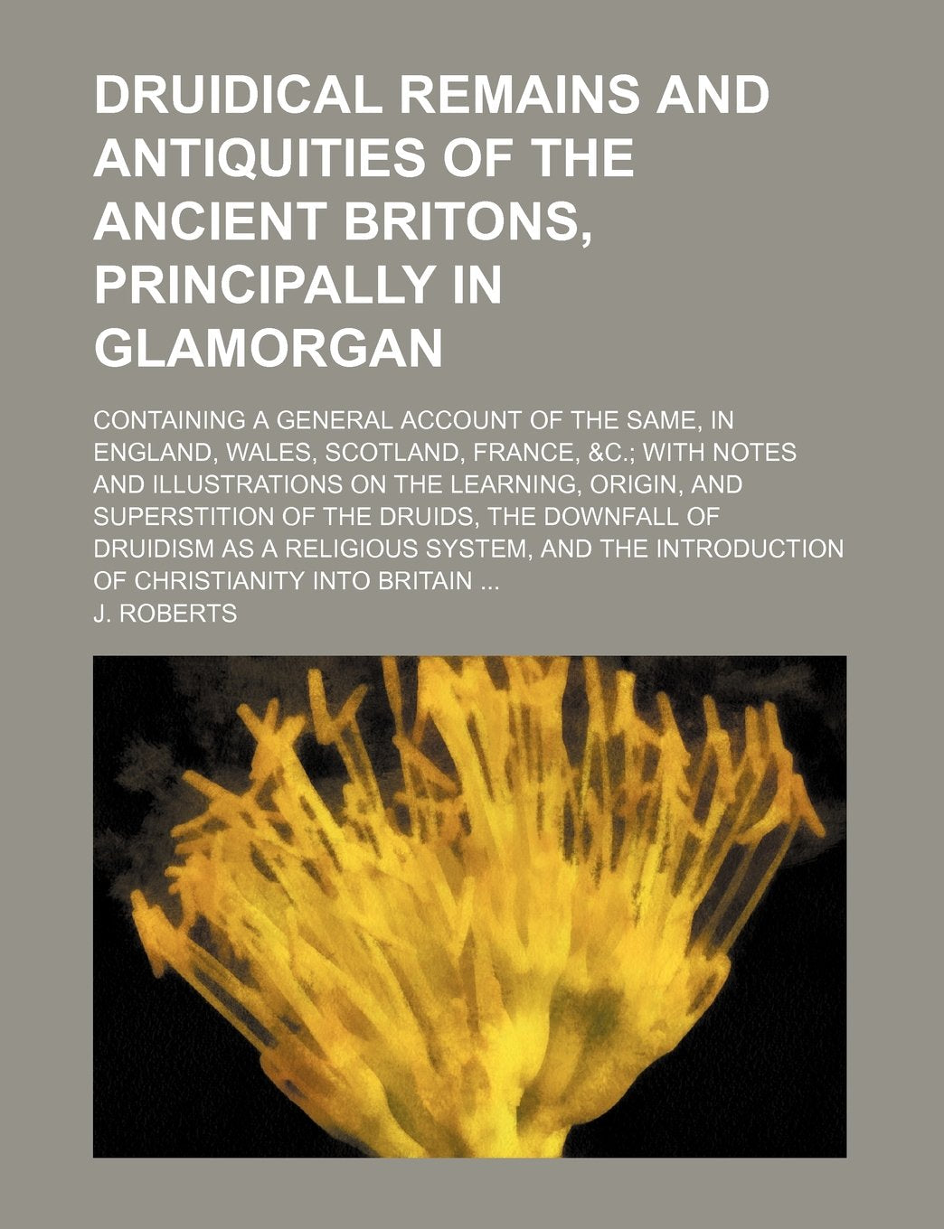 Druidical Remains and Antiquities of the Ancient Britons, Principally in Glamorgan; Containing a General Account of the Same, in England, Wales, ... Origin, and Superstition of the Druids, Th book