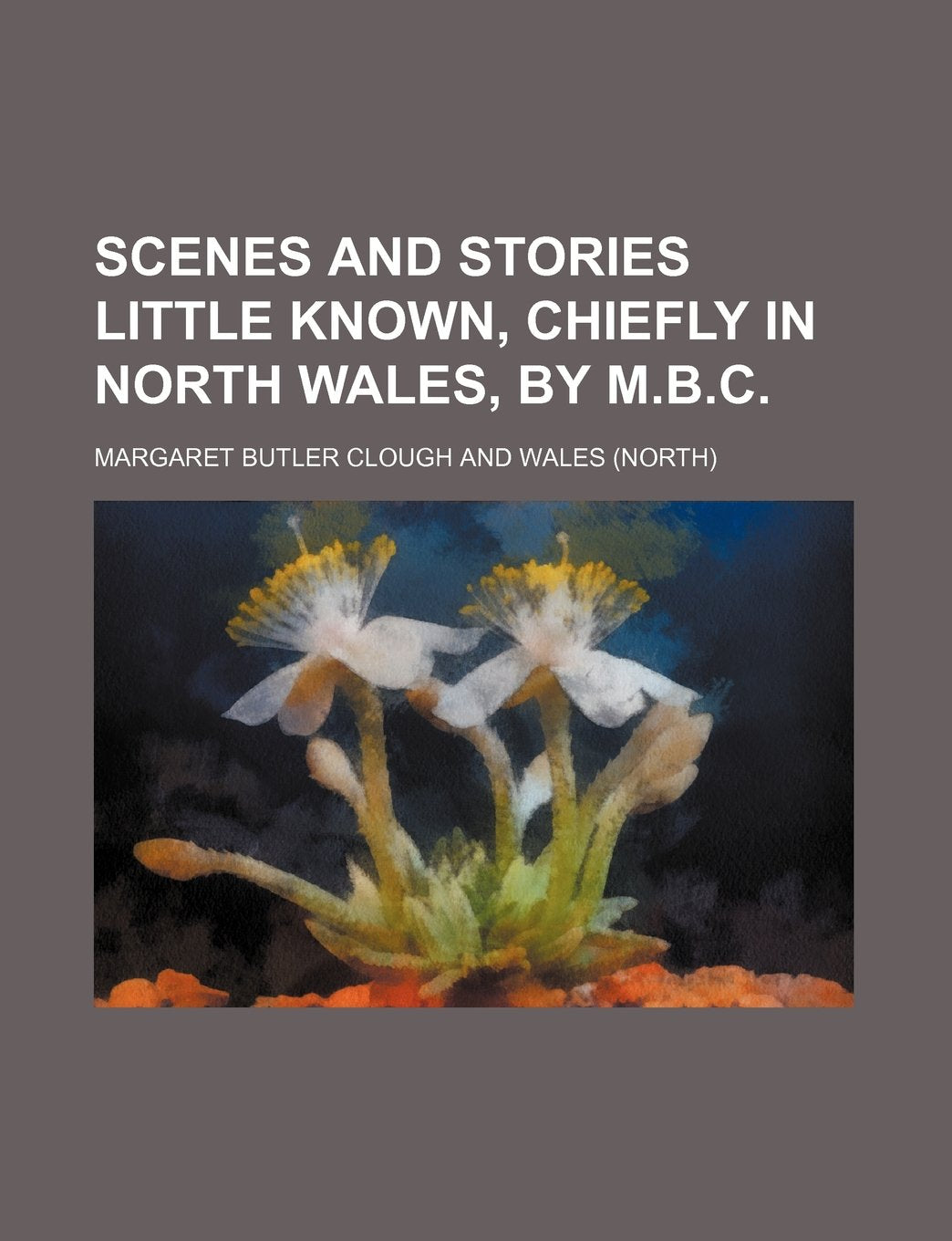 Scenes and Stories Little Known, Chiefly in North Wales, by M.B.C Books