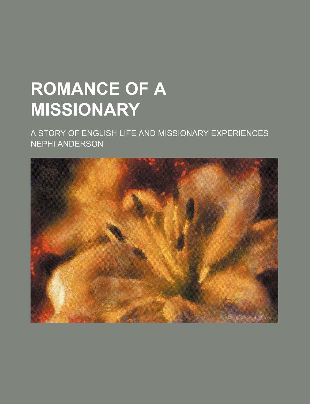 Romance of a Missionary; A Story of English Life and Missionary Experiences Books