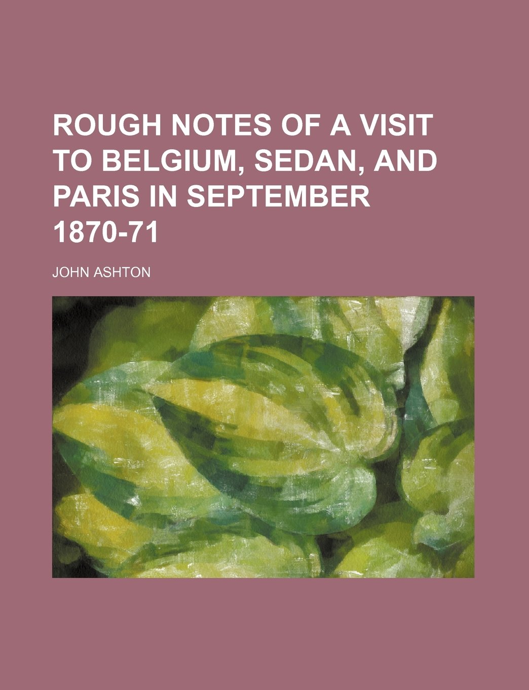 Rough Notes of a Visit to Belgium, Sedan, and Paris in September 1870-71 Books