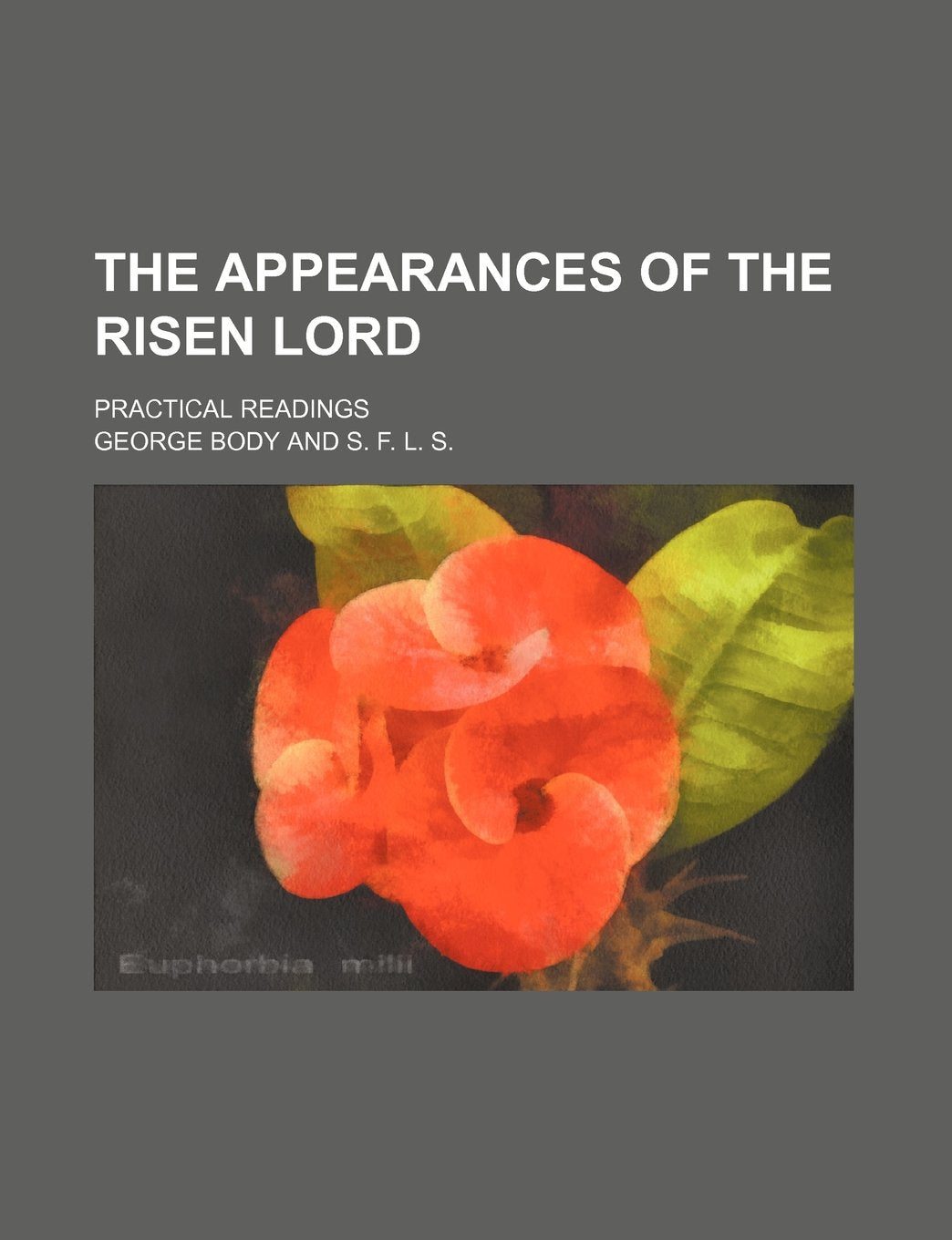 The Appearances of the Risen Lord: Practical Readings Contemporary literature