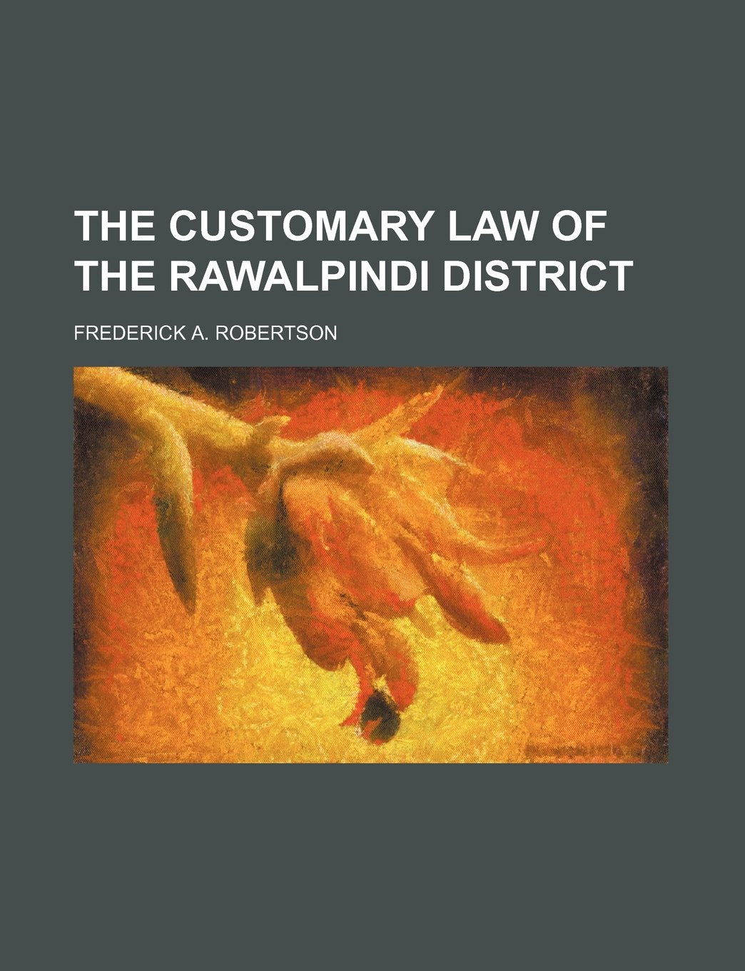The Customary Law of the Rawalpindi District Books