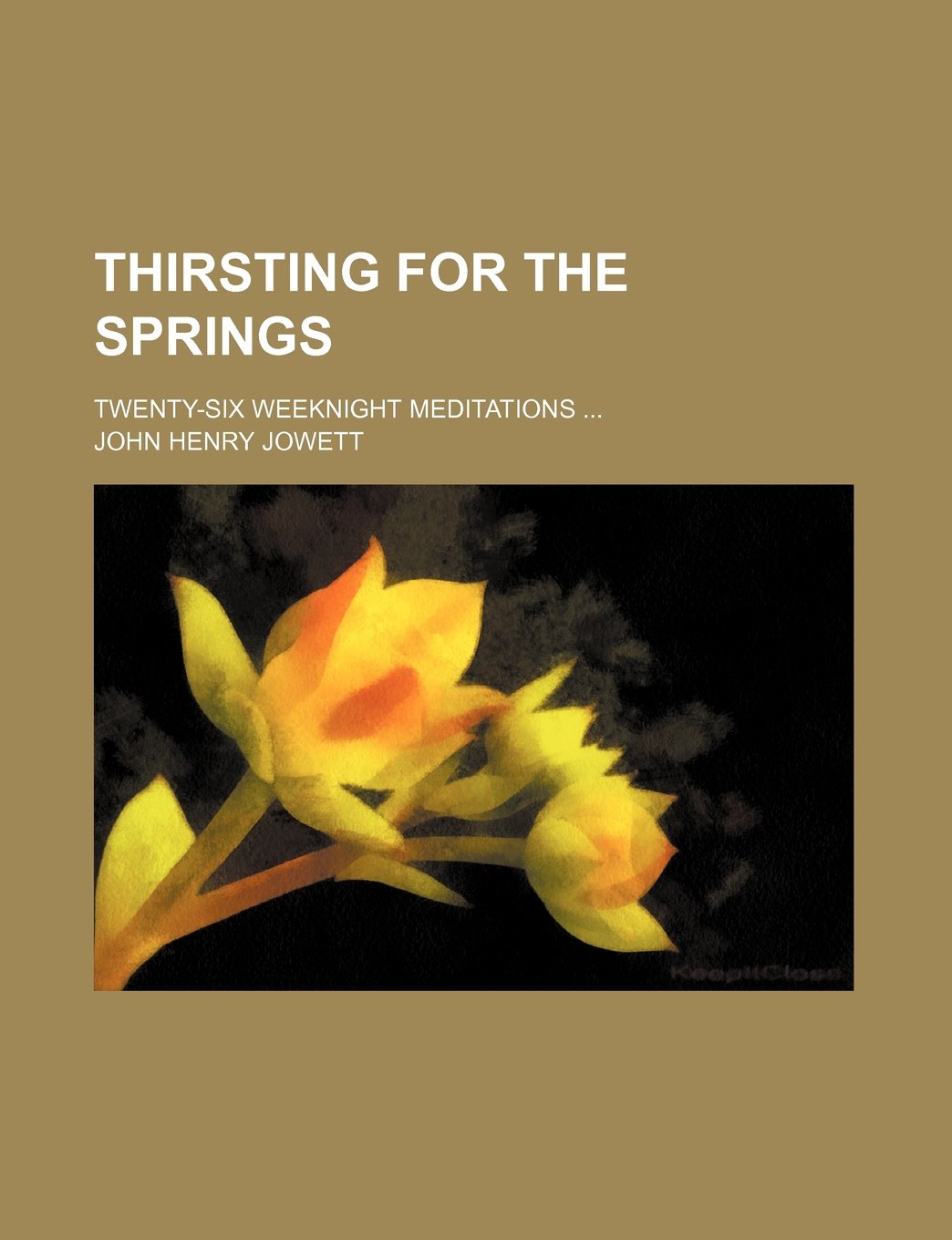 Thirsting for the Springs; Twenty-Six Weeknight Meditations Books