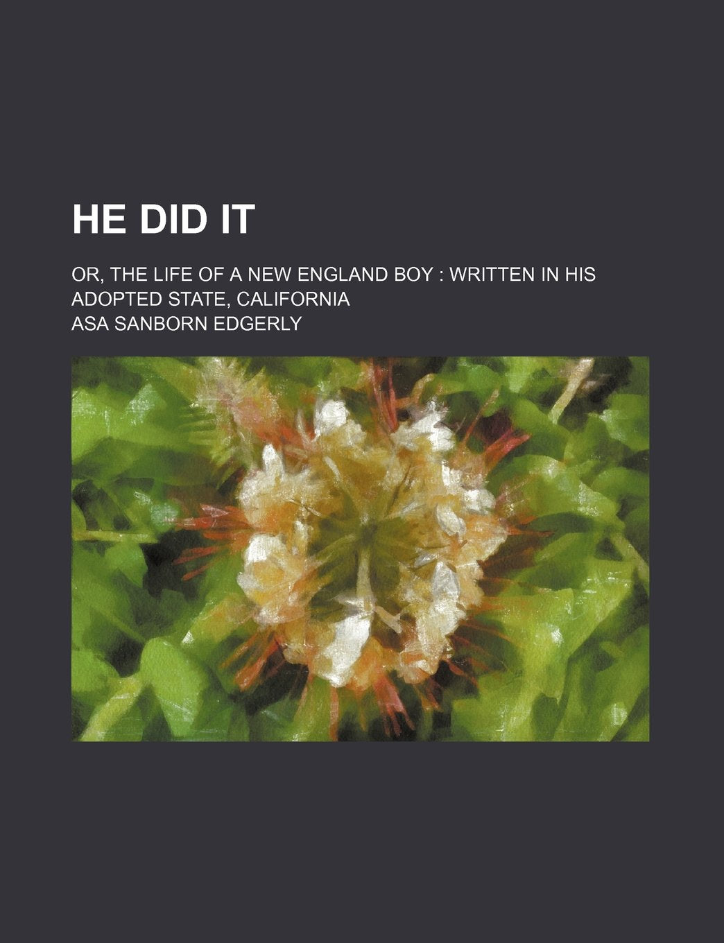 He Did It; Or, the Life of a New England Boy Written in His Adopted State, California Books