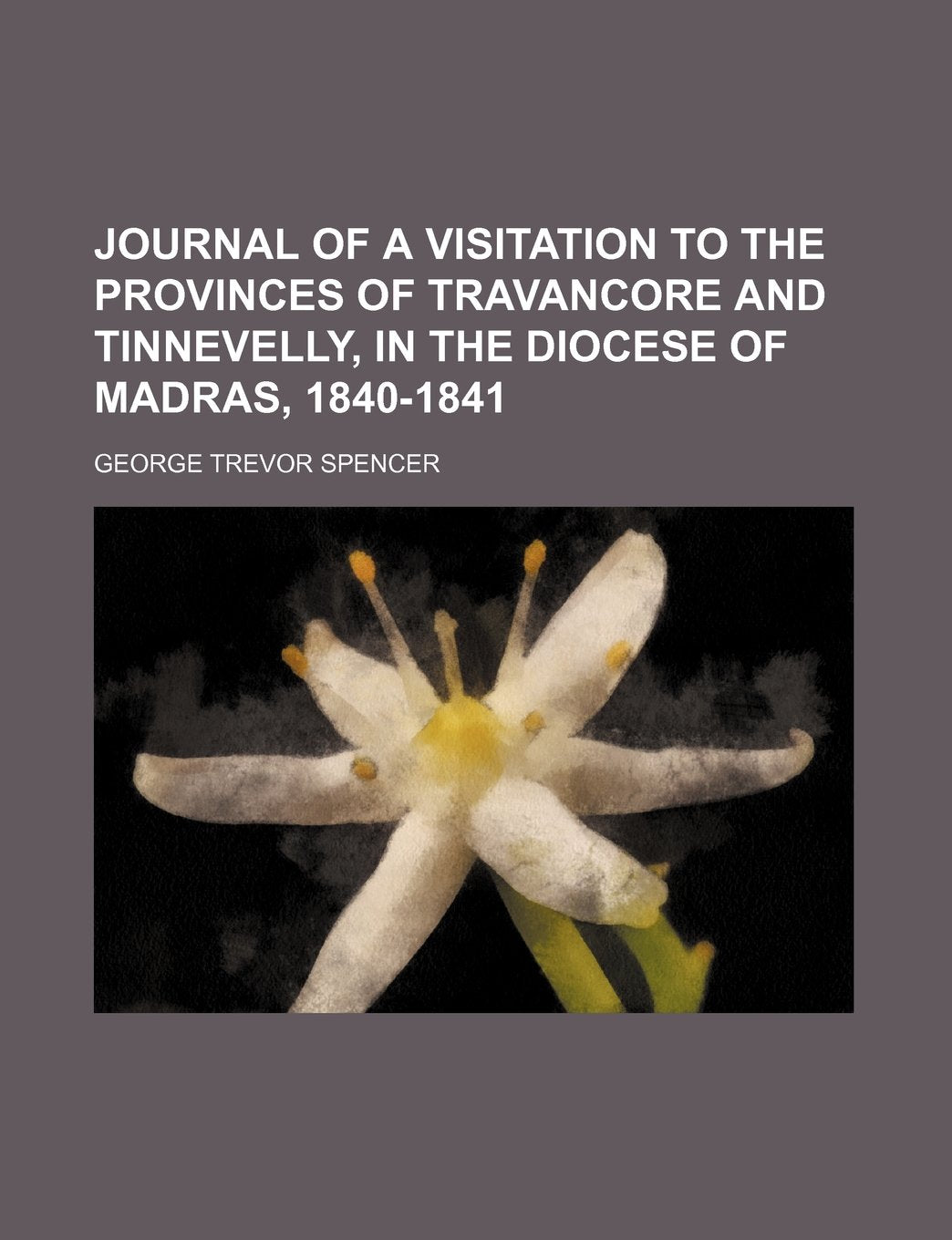 Journal of a Visitation to the Provinces of Travancore and Tinnevelly, in the Diocese of Madras, 1840-1841 Politics & History