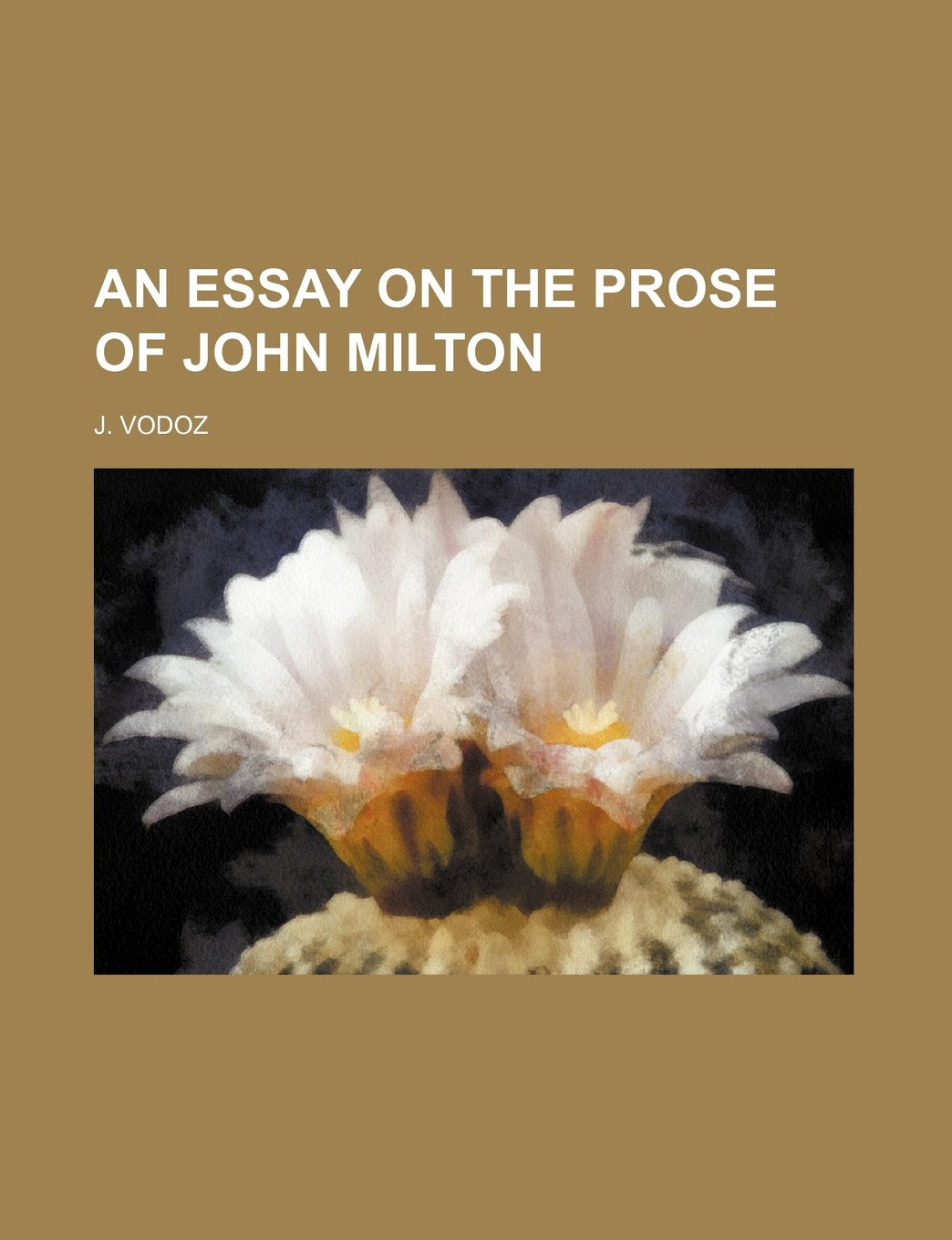 An Essay on the Prose of John Milton Books