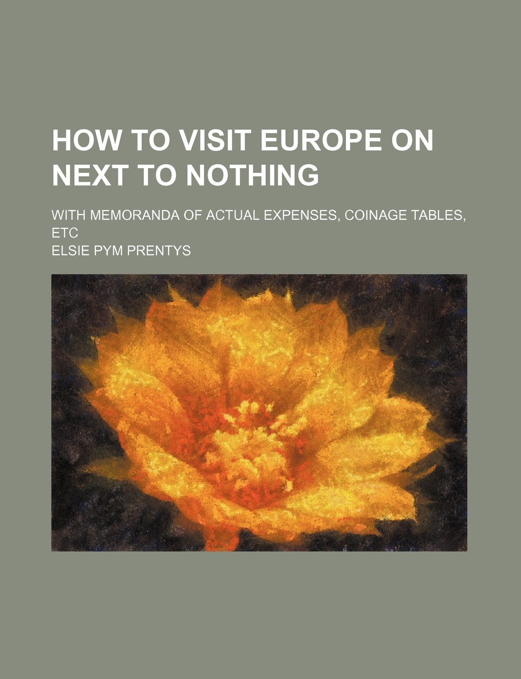 How to Visit Europe on Next to Nothing; With Memoranda of Actual Expenses, Coinage Tables, Etc Contemporary literature