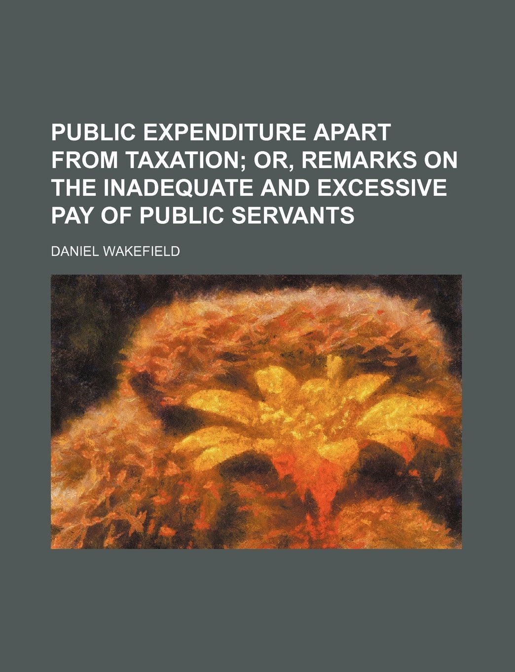 Public Expenditure Apart from Taxation; Or, Remarks on the Inadequate and Excessive Pay of Public Servants Books