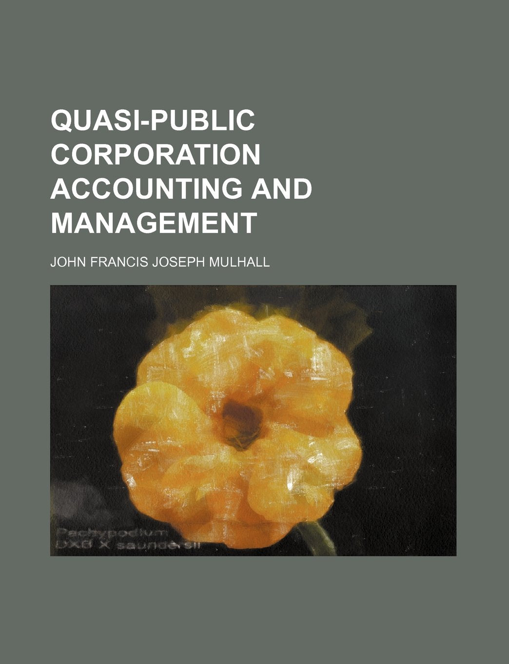 Quasi-Public Corporation Accounting and Management Books