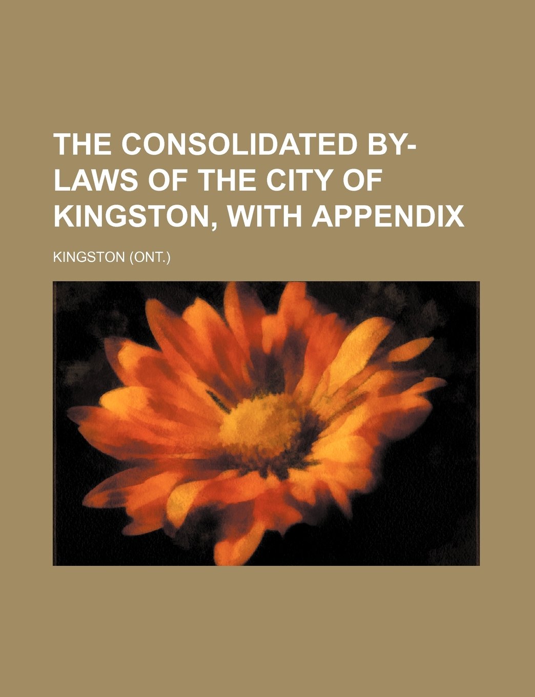 The Consolidated By-Laws of the City of Kingston, with Appendix Books
