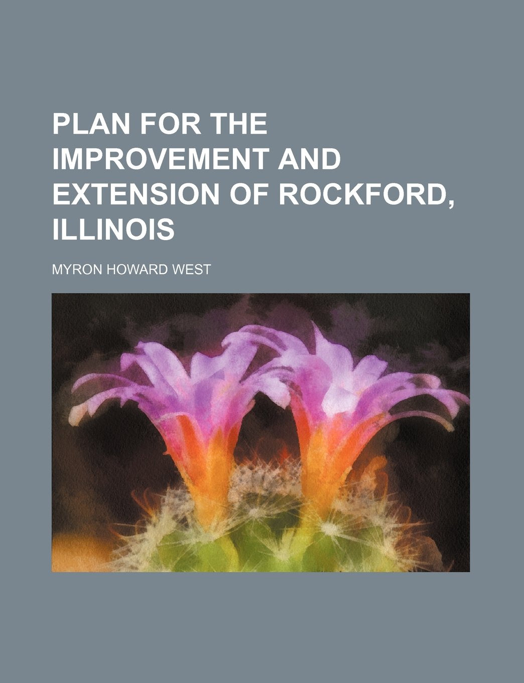 Plan for the Improvement and Extension of Rockford, Illinois Books