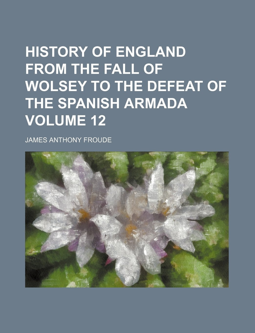 History of England from the Fall of Wolsey to the Defeat of the Spanish Armada Volume 12 Books