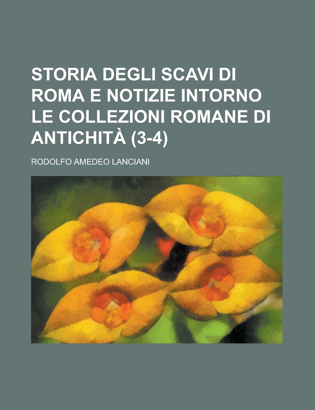 Storia Degli Scavi Di Roma E Notizie Intorno Le Collezioni Romane Di Antichita (3-4) Books