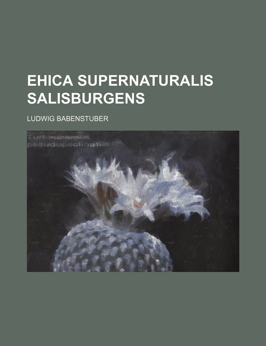 Ehica Supernaturalis Salisburgens Books