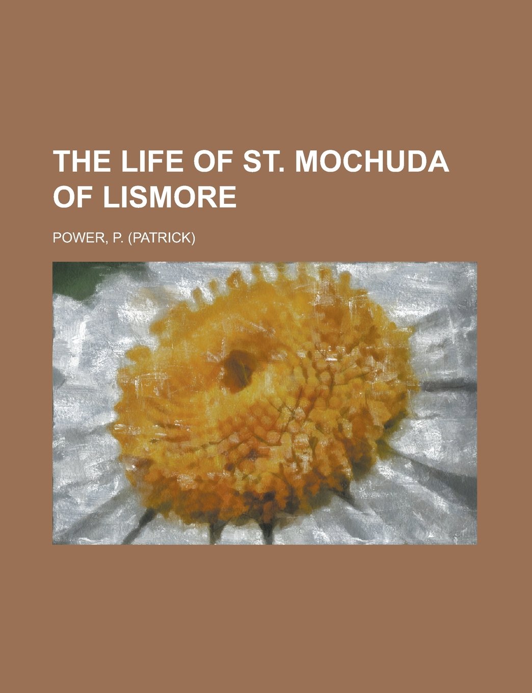 The Life of St. Mochuda of Lismore Politics & Society