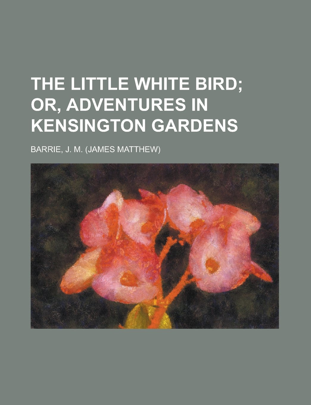 The Little White Bird: Or, Adventures in Kensington Gardens Fiction