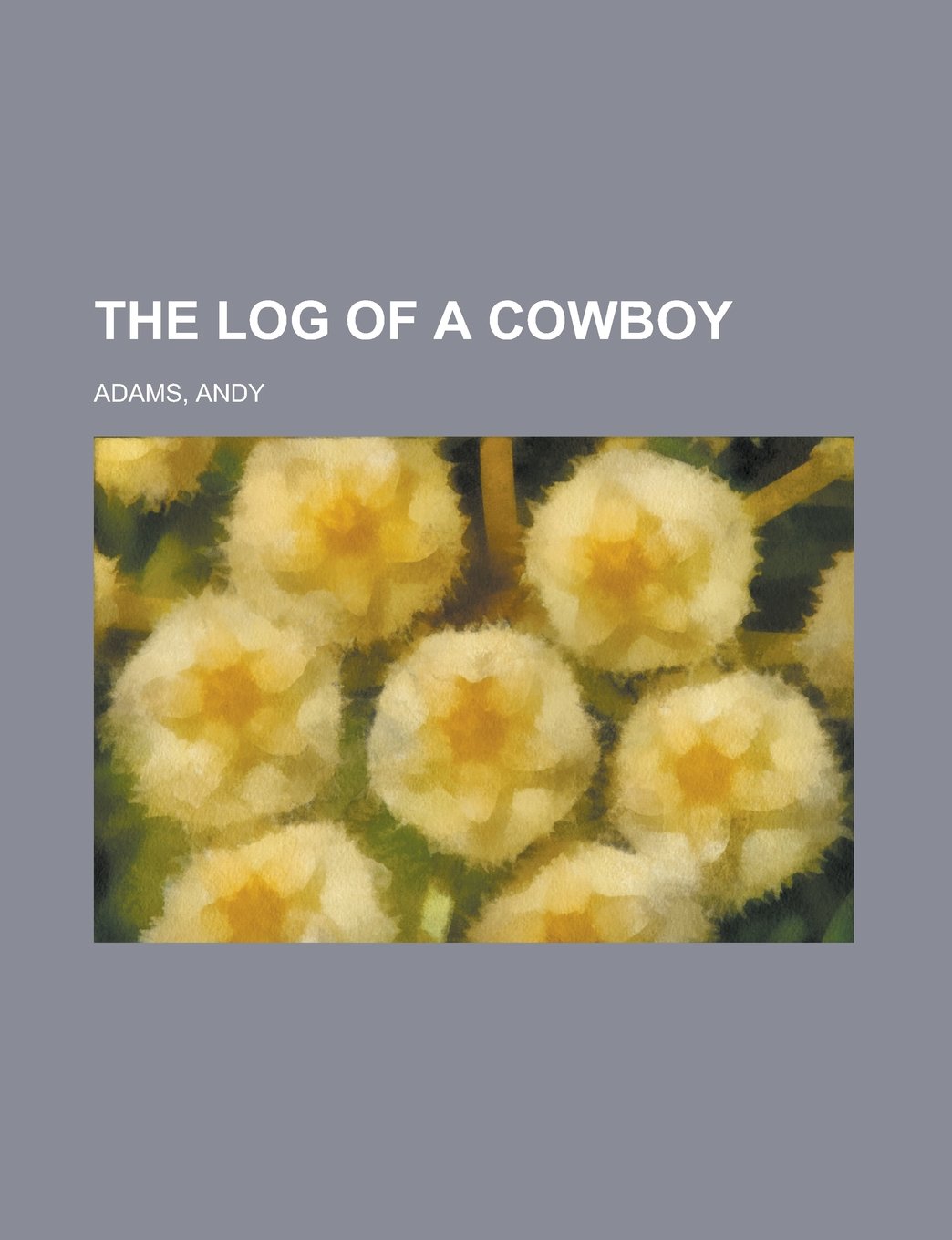The Log of a Cowboy Contemporary literature