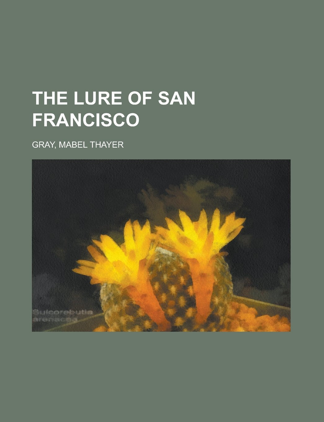 The Lure of San Francisco Politics & History