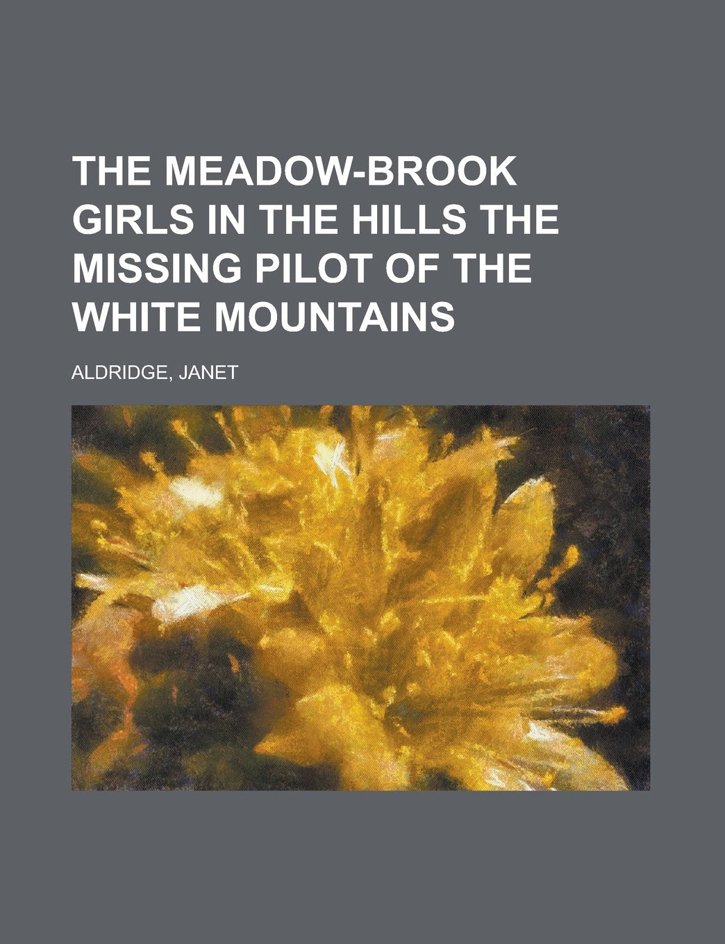 The Meadow-brook Girls in the Hills the Missing Pilot of the White Mountains Contemporary literature