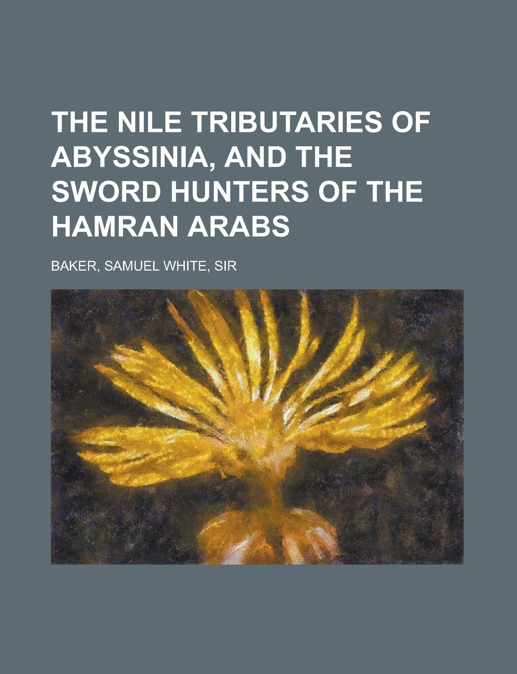 The Nile Tributaries of Abyssinia, and the Sword Hunters of the Hamran Arabs Social Sciences