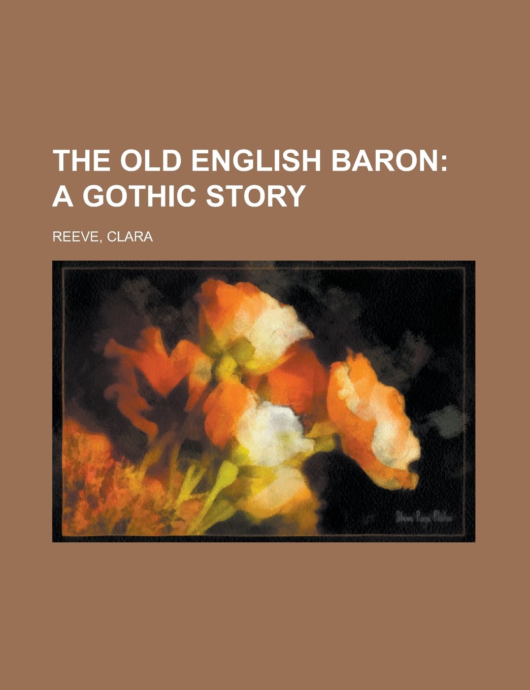 The Old English Baron: A Gothic Story Historical Fiction