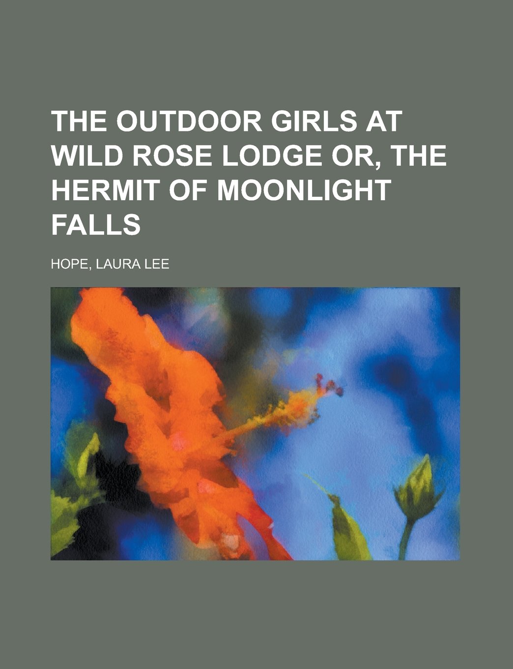 The Outdoor Girls at Wild Rose Lodge Or, the Hermit of Moonlight Falls Books