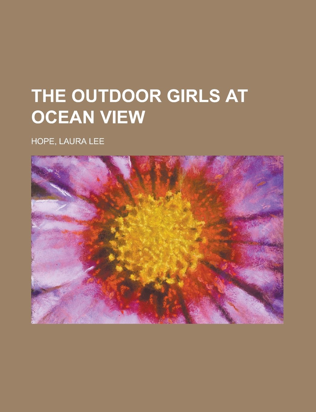 The Outdoor Girls at Ocean View Fiction