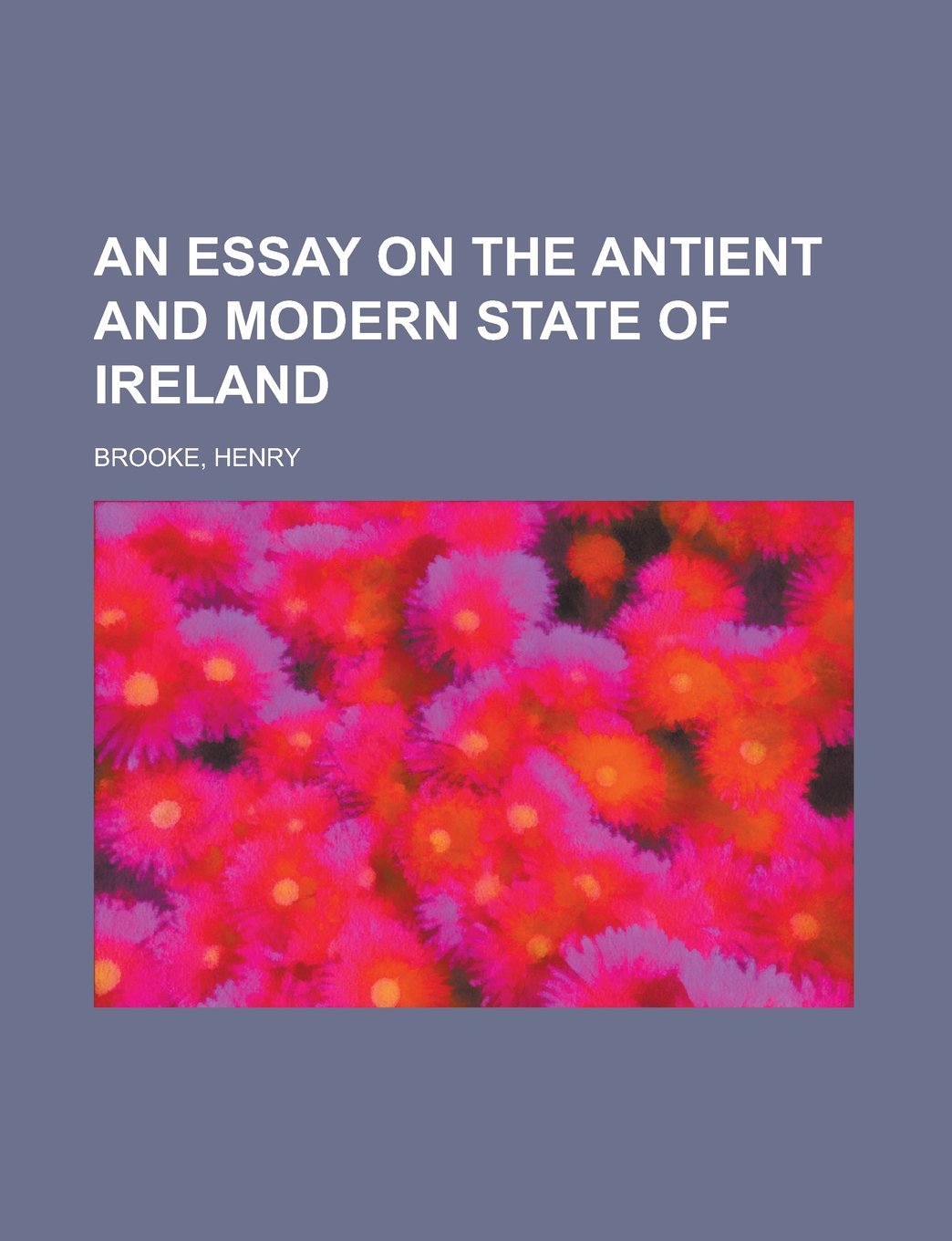 An Essay on the Antient and Modern State of Ireland Politics & History
