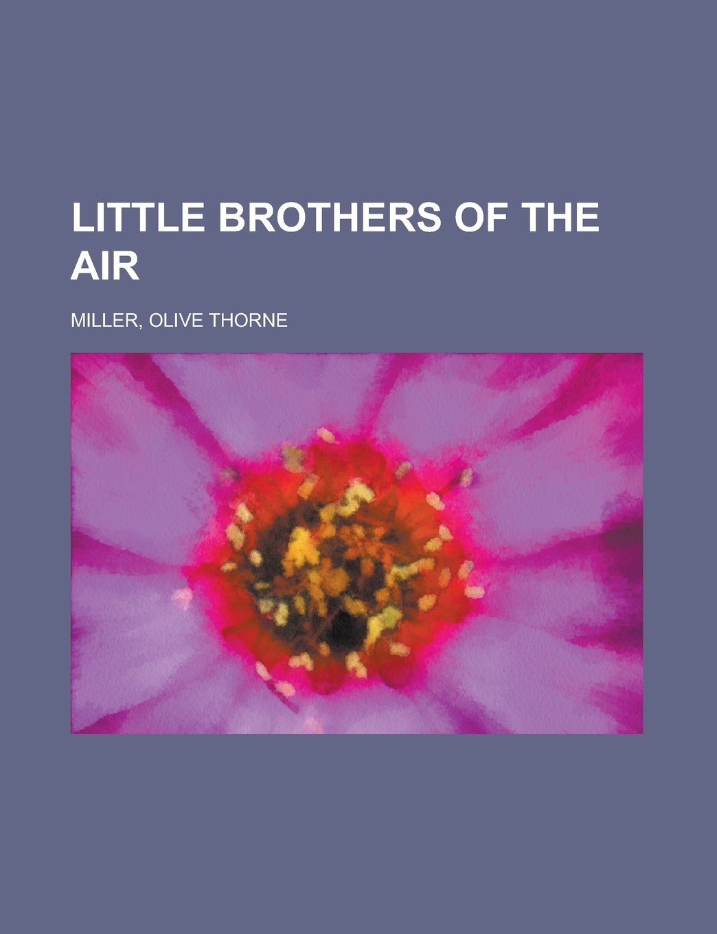 Little Brothers of the Air Books