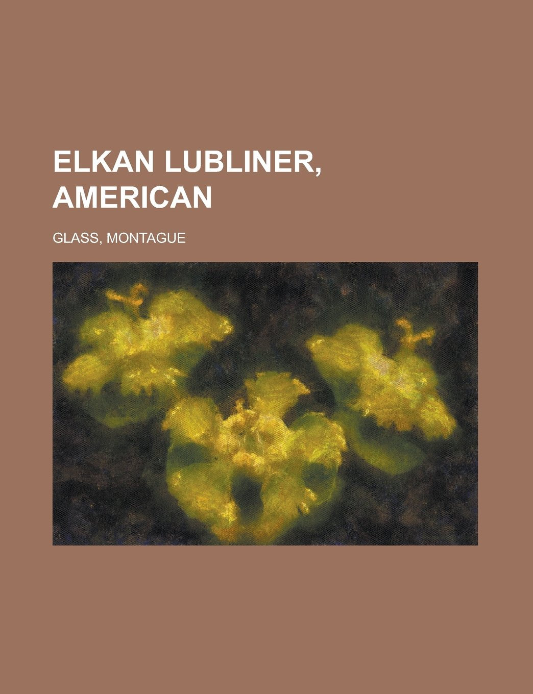 Elkan Lubliner, American Politics & History