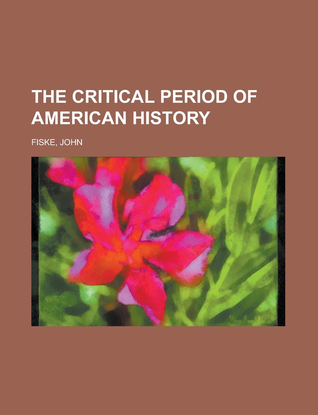 The Critical Period of American History Politics & History