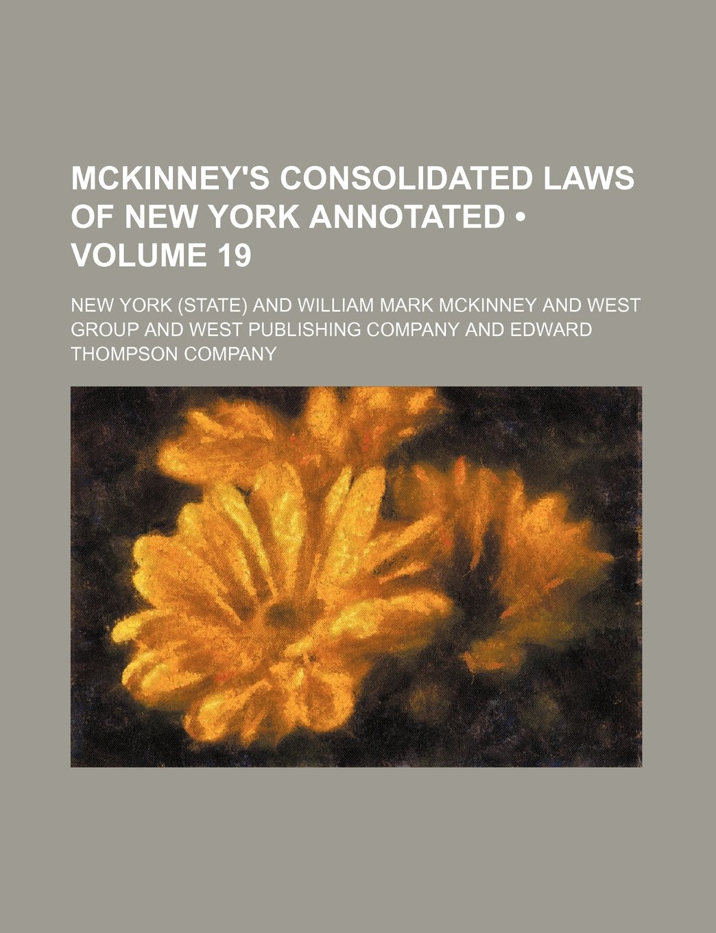 McKinney's Consolidated Laws of New York Annotated (Volume 19) Books