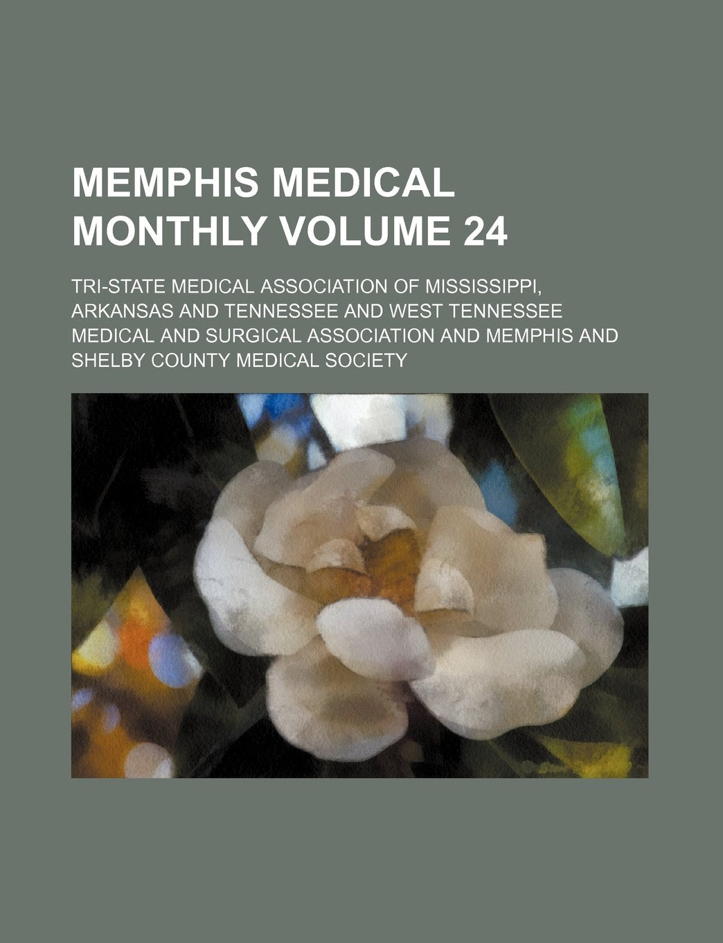 Memphis Medical Monthly Volume 24 Books