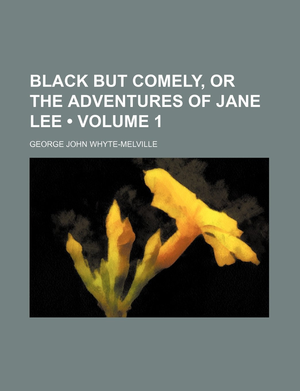 Black But Comely, or the Adventures of Jane Lee (Volume 1) Books