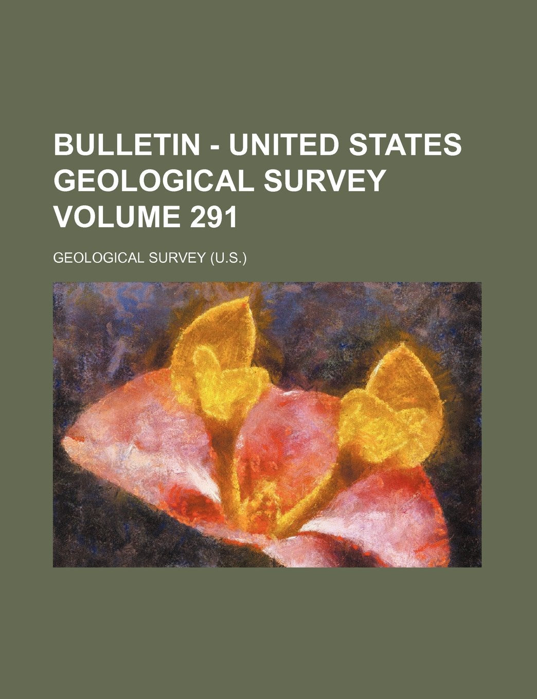 Bulletin - United States Geological Survey Volume 291 Books