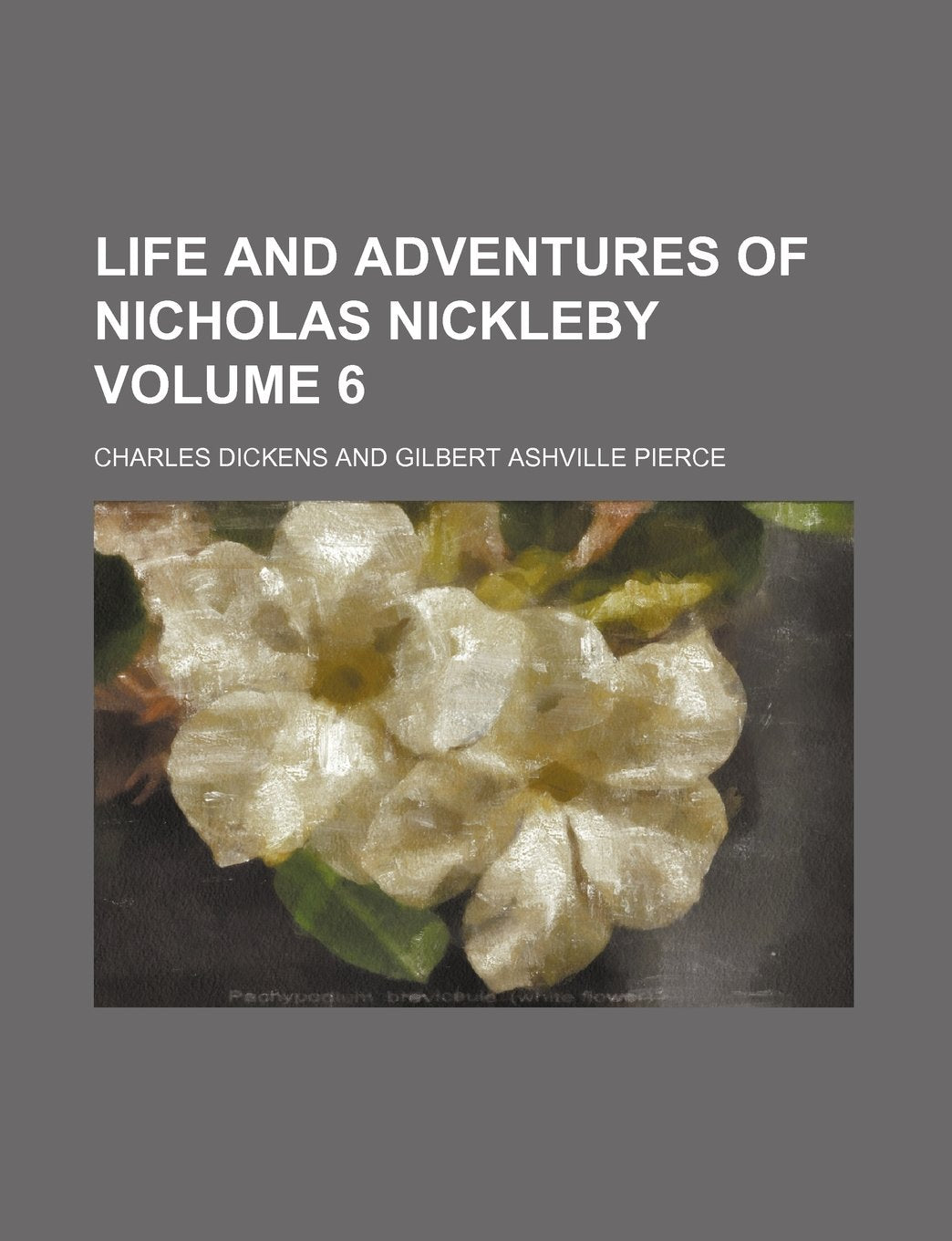 Life and Adventures of Nicholas Nickleby Volume 6 Books