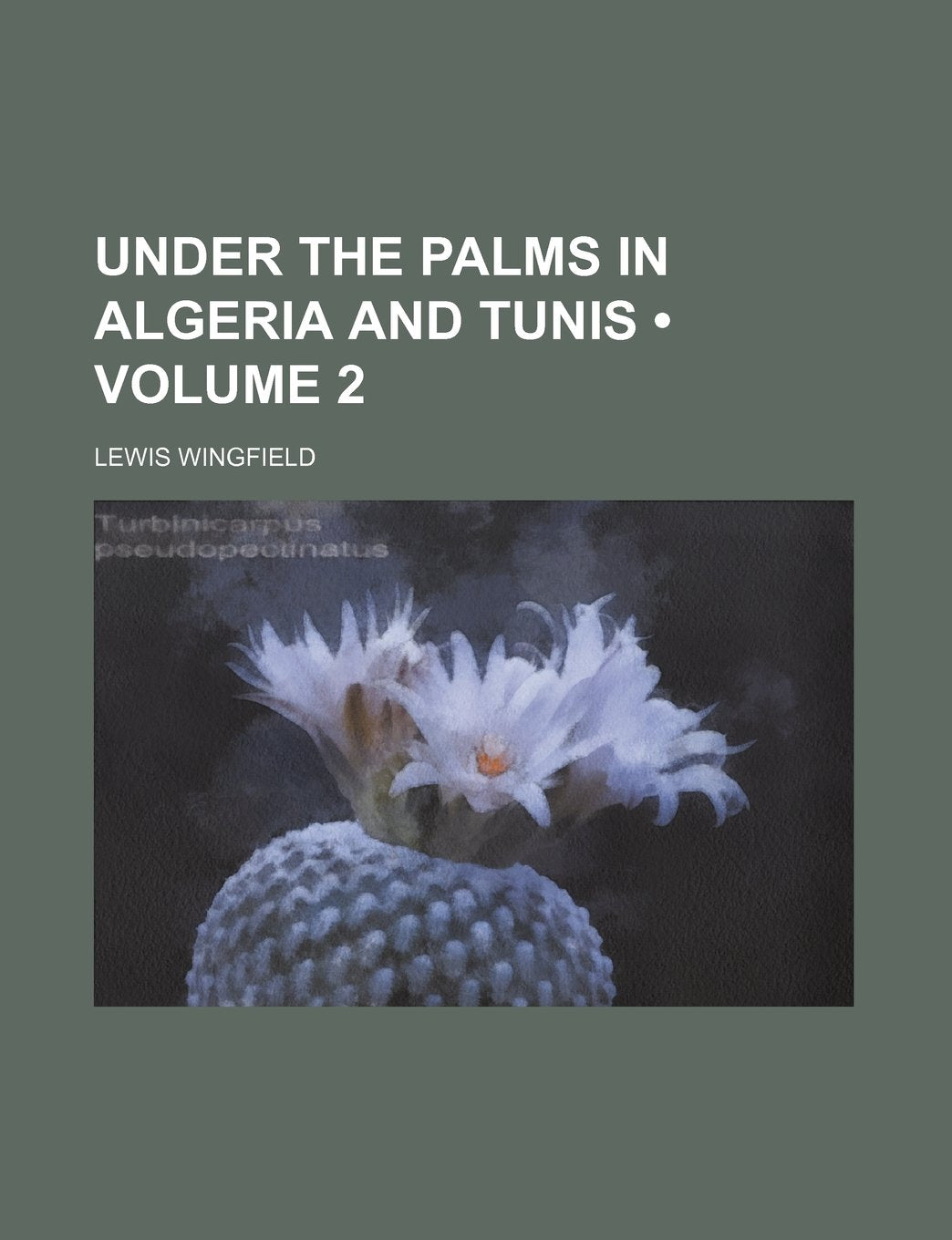 Under the Palms in Algeria and Tunis (Volume 2) Books
