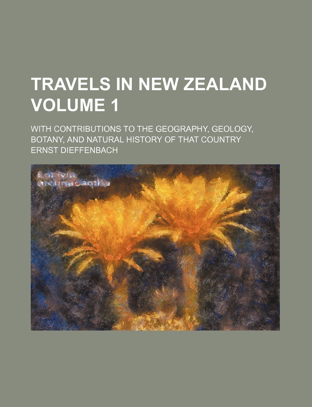 Travels in New Zealand Volume 1; With Contributions to the Geography, Geology, Botany, and Natural History of That Country Politics & History