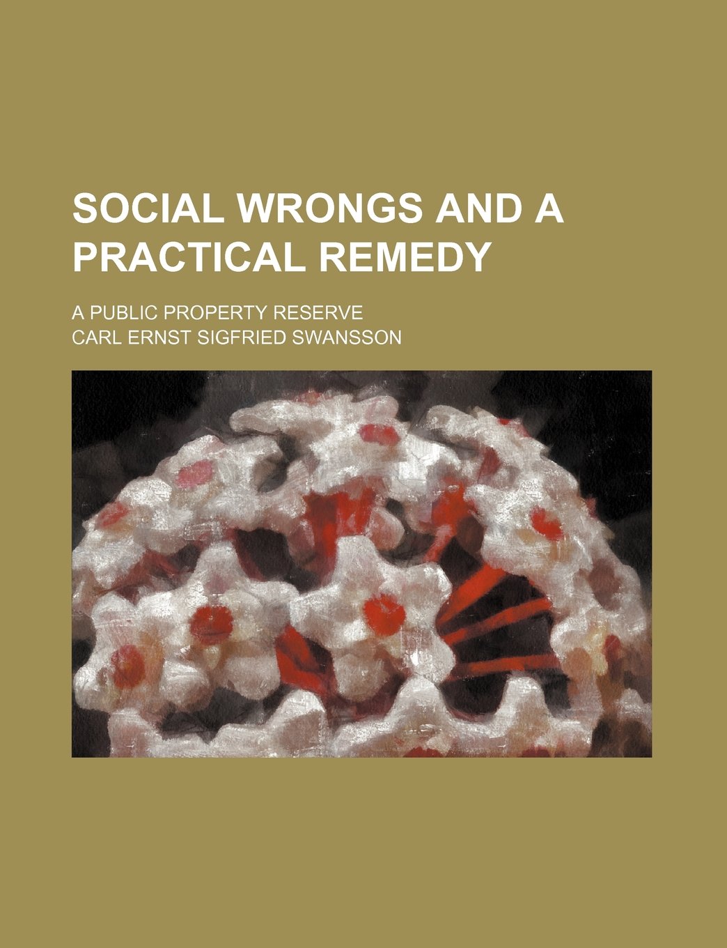 Social Wrongs and a Practical Remedy: A Public Property Reserve Business, Finance & Career