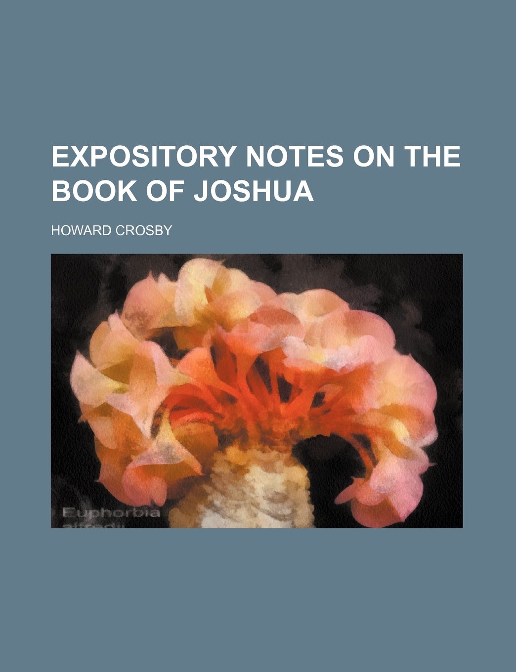 Expository Notes on the Book of Joshua Books