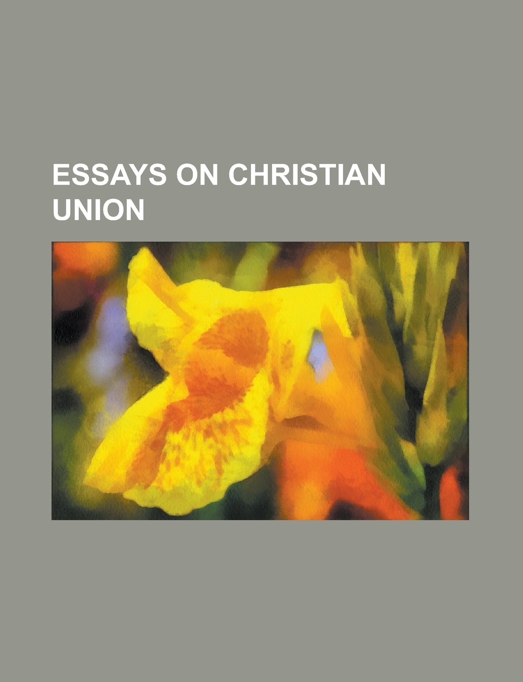 Essays on Christian Union Books