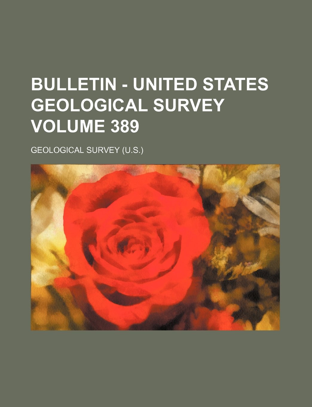 Bulletin - United States Geological Survey Volume 389 Books